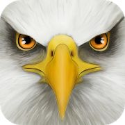 Скачать взломанную Ultimate Bird Simulator (Открыты уровни) версия Зависит от устройства apk на Андроид