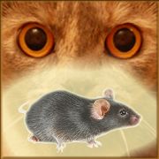 Мышь на экране для кота - Симулятор мыши