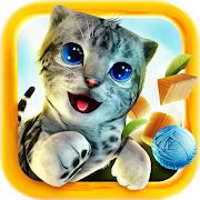 Скачать взломанную Симулятор Кошки (Открыты уровни) версия 2.1.1 apk на Андроид