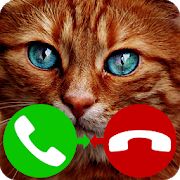 Скачать взломанную звонок поддельный кот игра (Много денег) версия 4.0 apk на Андроид