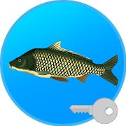 Скачать взломанную Реальная Рыбалка (ключ). Симулятор рыбной ловли. (Много денег) версия 1.9.8.428 apk на Андроид