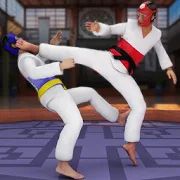 Скачать взломанную Taekwondo Fights 2020: Martial Art Fighting Games (Открыты уровни) версия 1.0.2 apk на Андроид