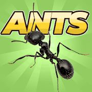 Скачать взломанную Pocket Ants: Симулятор Колонии (Бесконечные монеты) версия 0.0561 apk на Андроид
