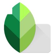 Скачать Snapseed (Встроенный кеш) версия Зависит от устройства apk на Андроид