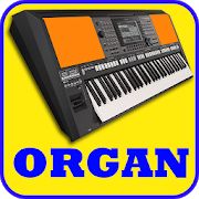 Скачать Electronic Organ, Piano, Guitar, violin, Drum Pad (Все открыто) версия 1.9 apk на Андроид