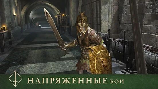 Скачать взломанную The Elder Scrolls: Blades (Много денег) версия 1.6.3.984769 apk на Андроид