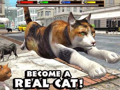 Скачать взломанную Ultimate Cat Simulator (Открыты уровни) версия Зависит от устройства apk на Андроид