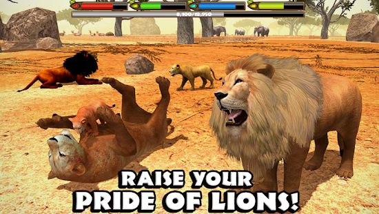 Скачать взломанную Ultimate Lion Simulator (Много денег) версия Зависит от устройства apk на Андроид