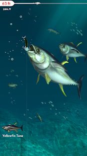 Скачать взломанную Rapala Fishing - Daily Catch (Бесконечные монеты) версия 1.6.15 apk на Андроид