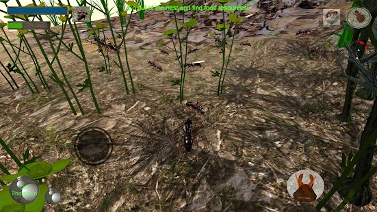 Скачать взломанную Ant Simulation 3D - Insect Survival Game (Много денег) версия 3.3.4 apk на Андроид
