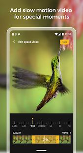 Скачать Slow motion - Speed ​​up video - Скорость движения (Разблокированная) версия 1.0.43 apk на Андроид
