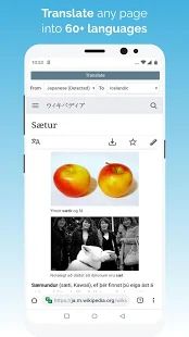 Скачать Kiwi Browser - Fast & Quiet (Полный доступ) версия Git201022 apk на Андроид